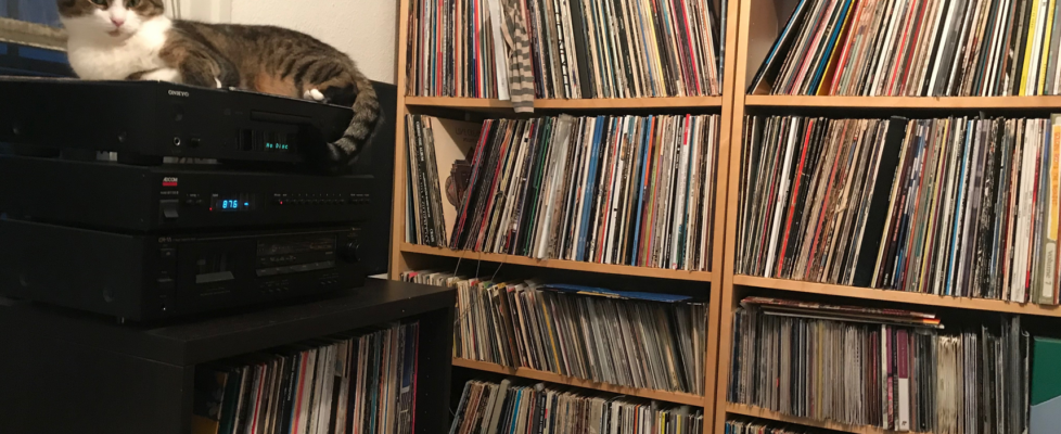 Staff Lists 2017: Our favorite non-work related music of the year (and photos of our pets) Staff Lists 2017: Our favorite non-work related music of the year (and photos of our pets)