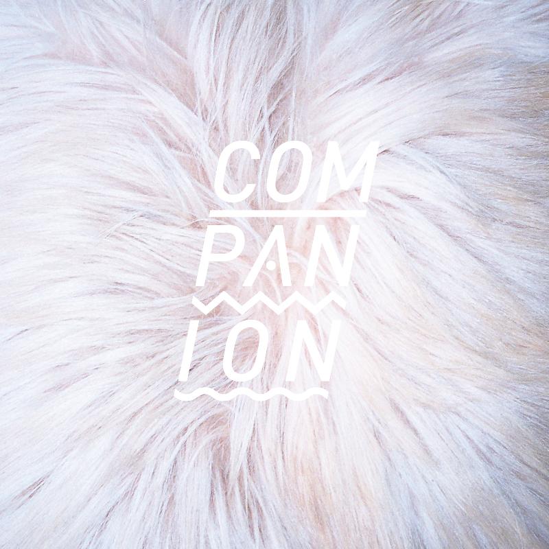 Companion premieres new track on BrooklynVegan, announces NY shows