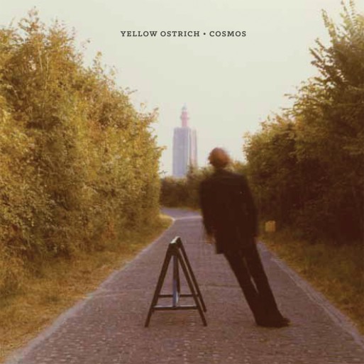 YellowOstrich_Cosmos