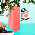 Niagara - ELSE Single artwork