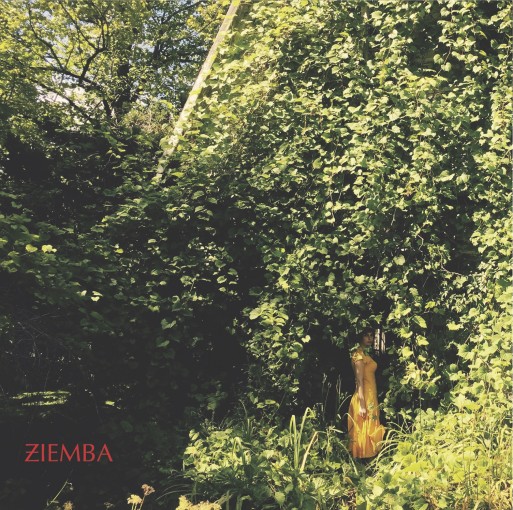 ZIEMBA - Hope is Never
