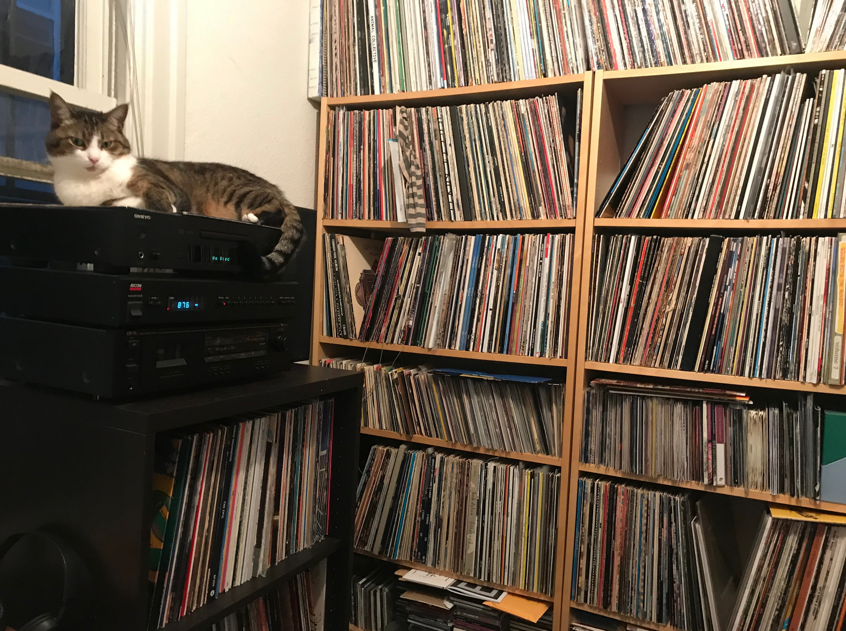 Staff Lists 2017: Our favorite non-work related music of the year (and photos of our pets)