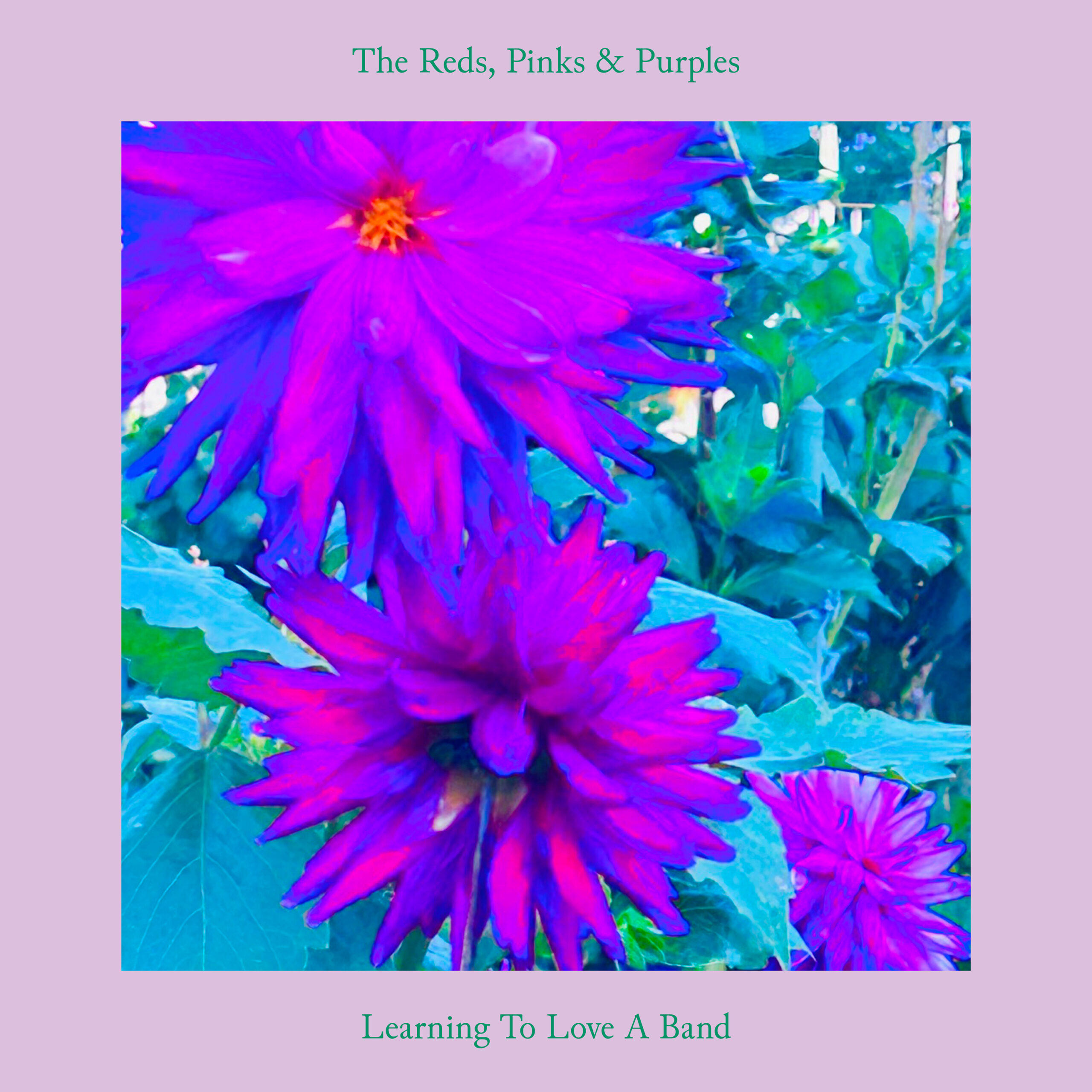 The Reds, Pinks & Purples shares new single “Learning To Love A Band”